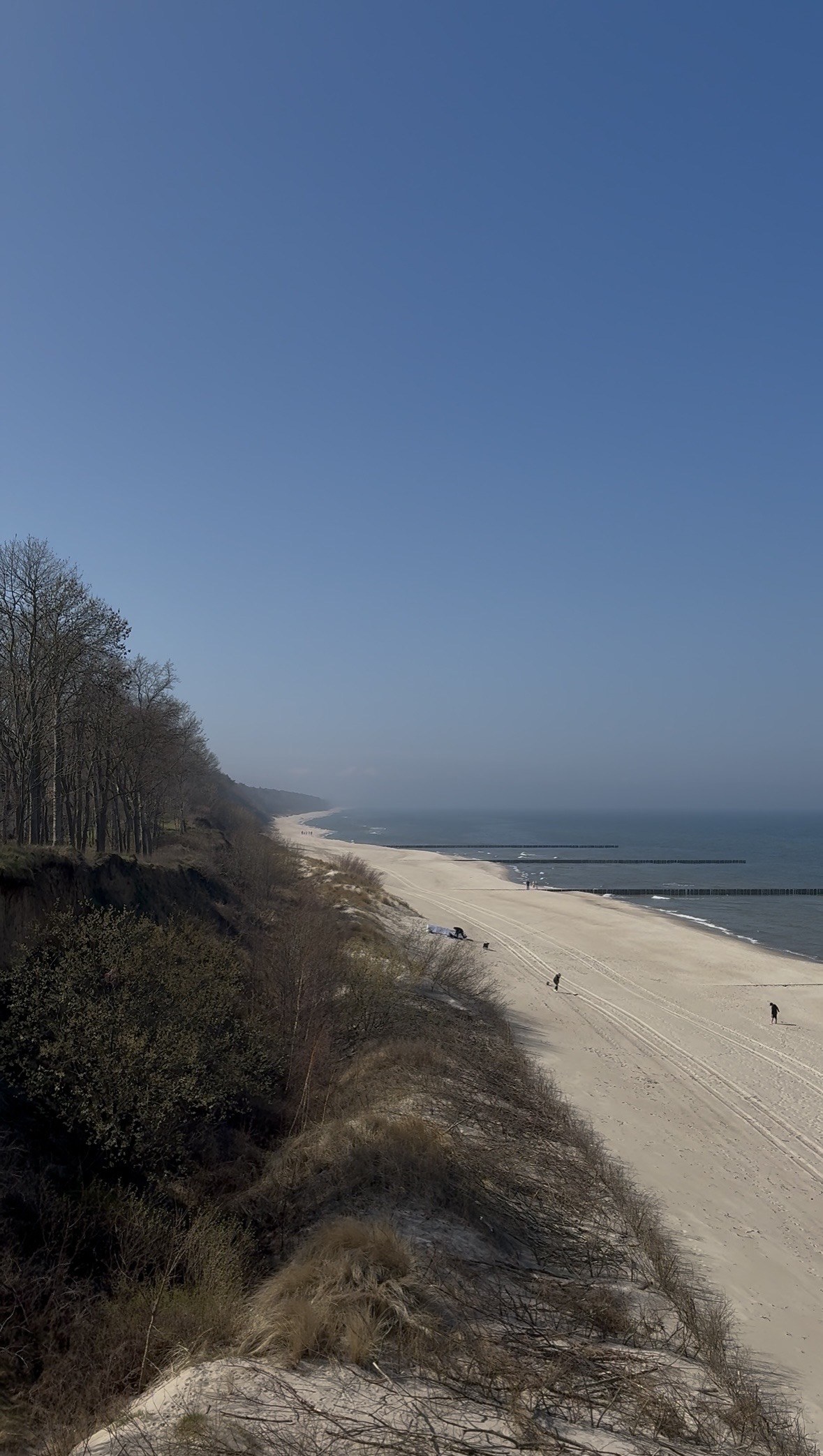 Widok na plażę i Bałtyk wczesną wiosną